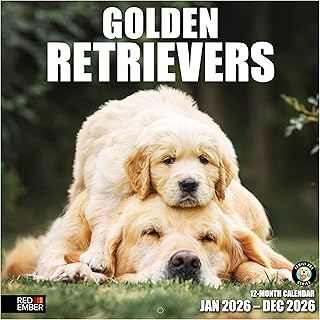 Golden Retriever 2026 Wall Calendar, 12 Months