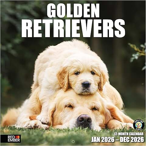 Golden Retriever 2026 Wall Calendar, 12 Months