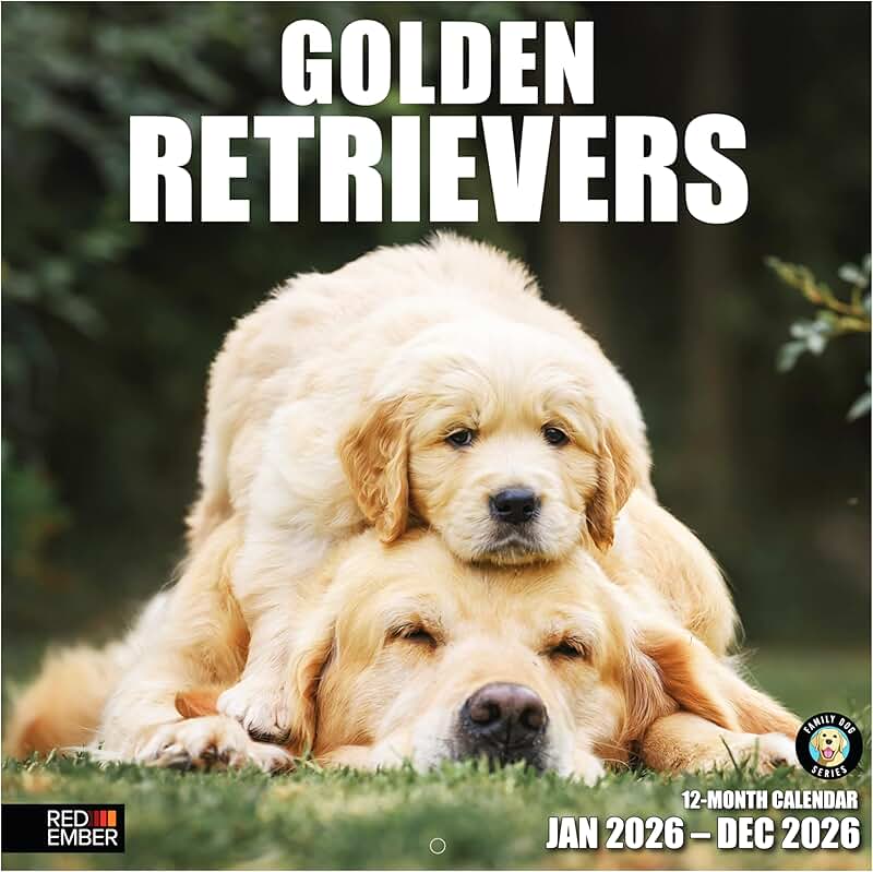 Golden Retriever 2026 Wall Calendar, 12 Months
