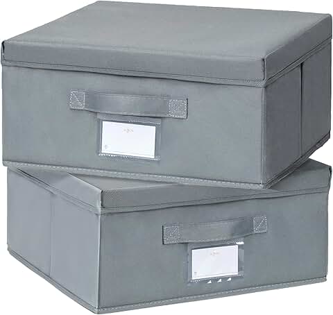 Set of two collapsible fabric storage bins with lids