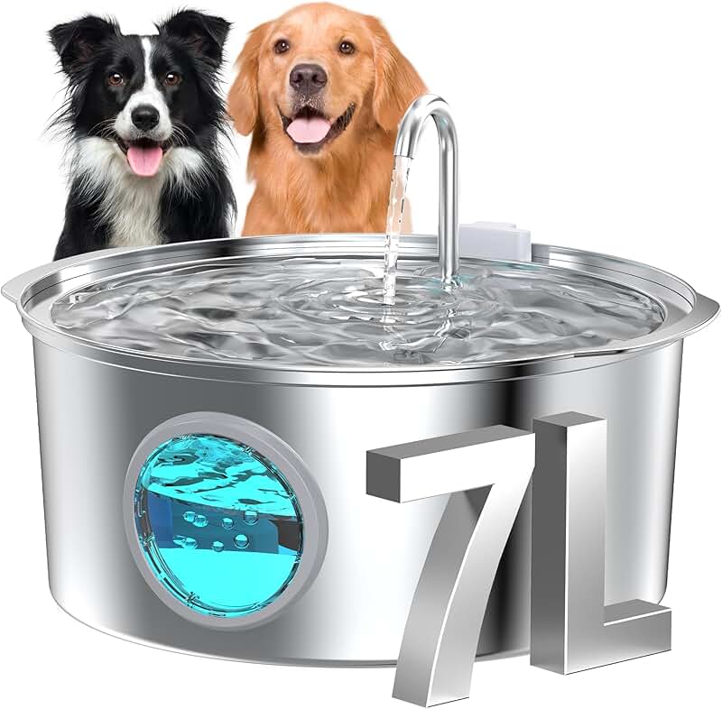 Large Dog Water Fountain with 7L Capacity