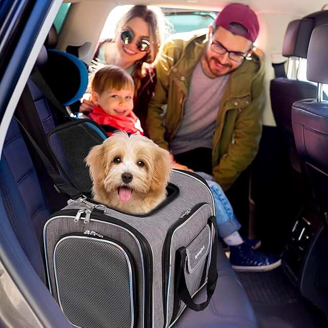 Travel Bundle: Expandable Pet Carrier and TSA-Approved Makeup Bag