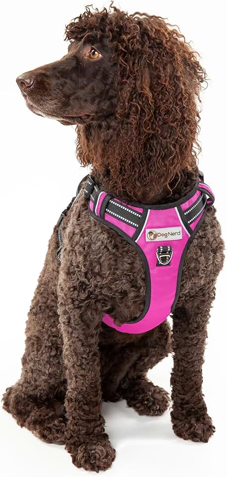 Adjustable Full Coverage Dog Vest for Large Dogs