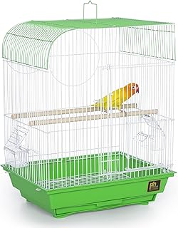 South Beach Flat Top Bird Cage in Lime Green