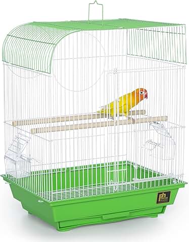South Beach Flat Top Bird Cage in Lime Green