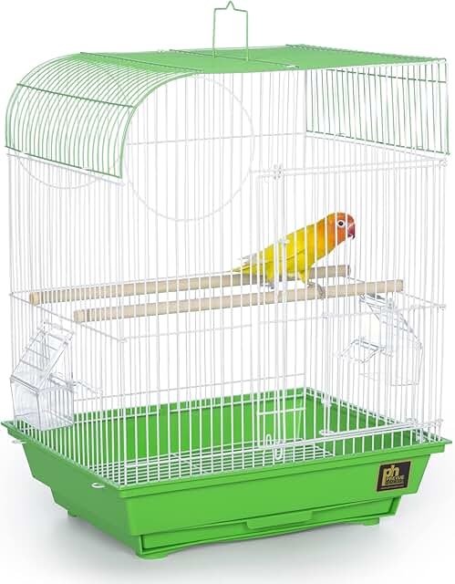 South Beach Flat Top Bird Cage in Lime Green
