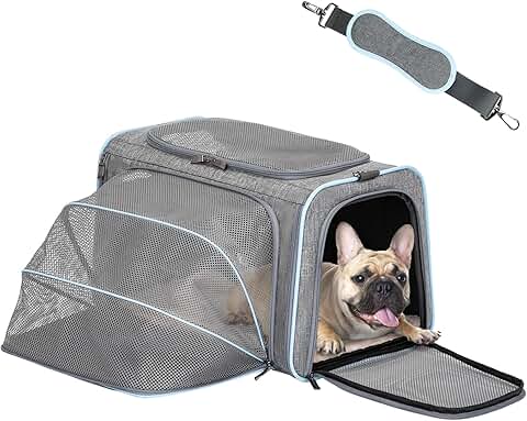 Expandable Soft Pet Carrier with Removable Mat