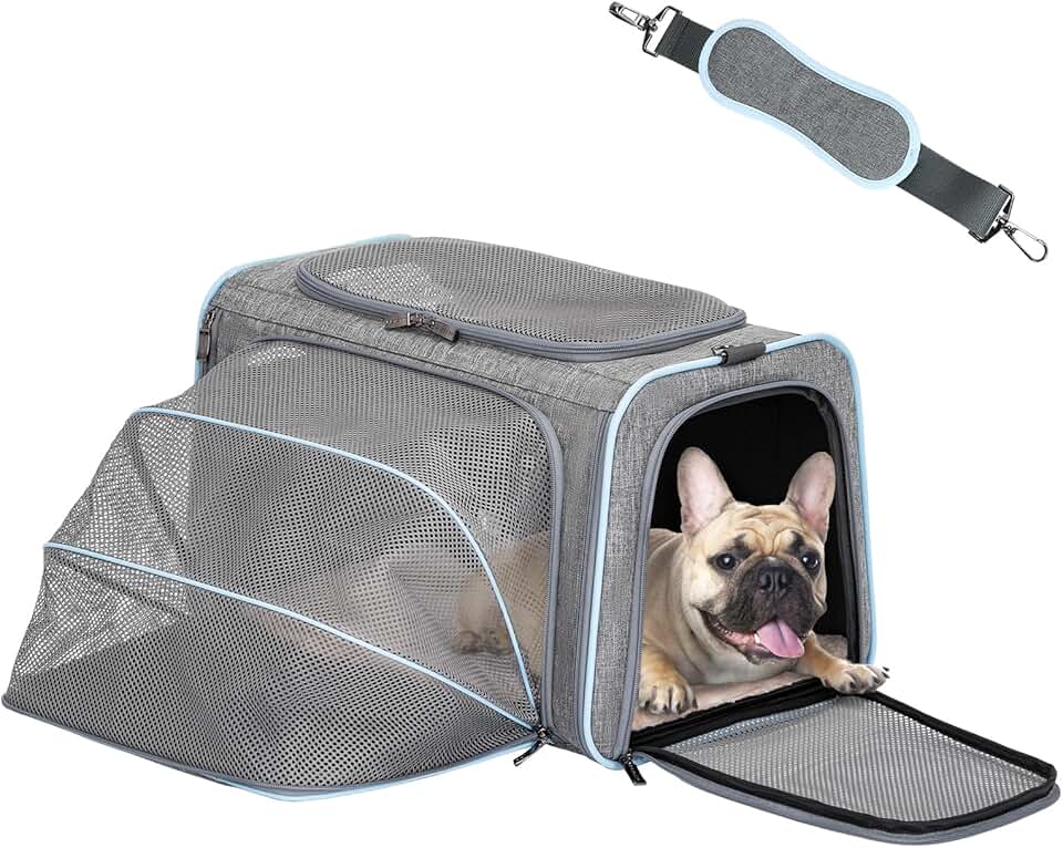 Expandable Soft Pet Carrier with Removable Mat