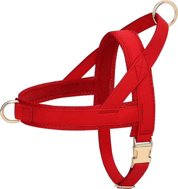 Soft Padded Step-In Dog Harness for Medium Dogs