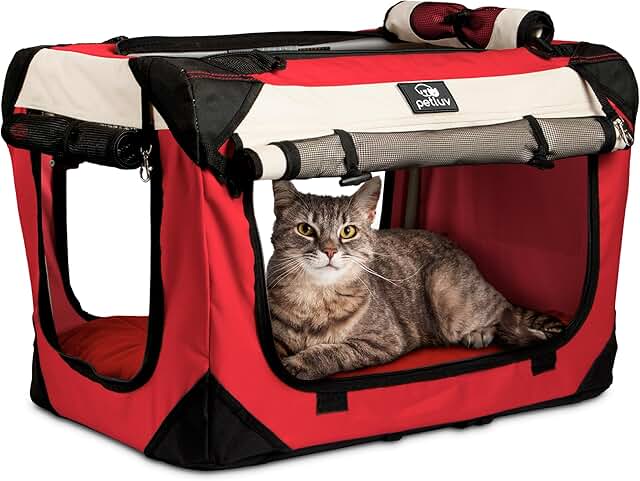Soft-Sided Pet Carrier for Cats and Small Dogs