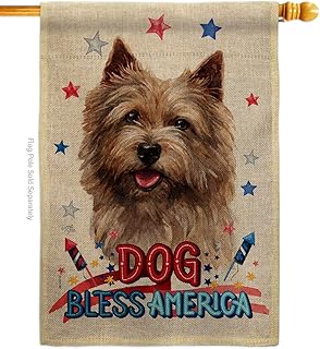 Patriotic Norwich Terrier Dog House Flag for Garden