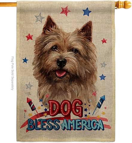 Patriotic Norwich Terrier Dog House Flag for Garden