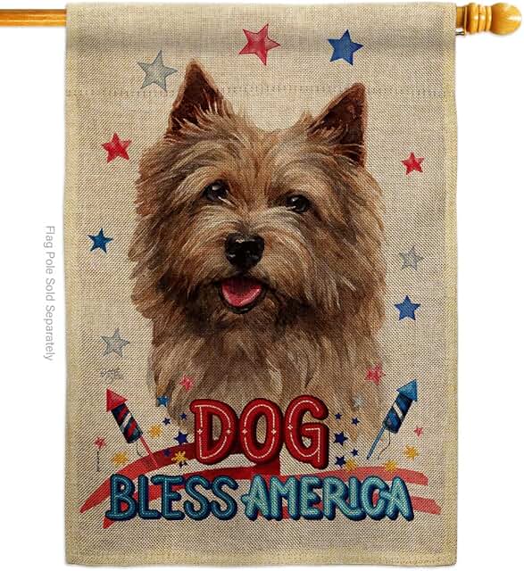 Patriotic Norwich Terrier Dog House Flag for Garden