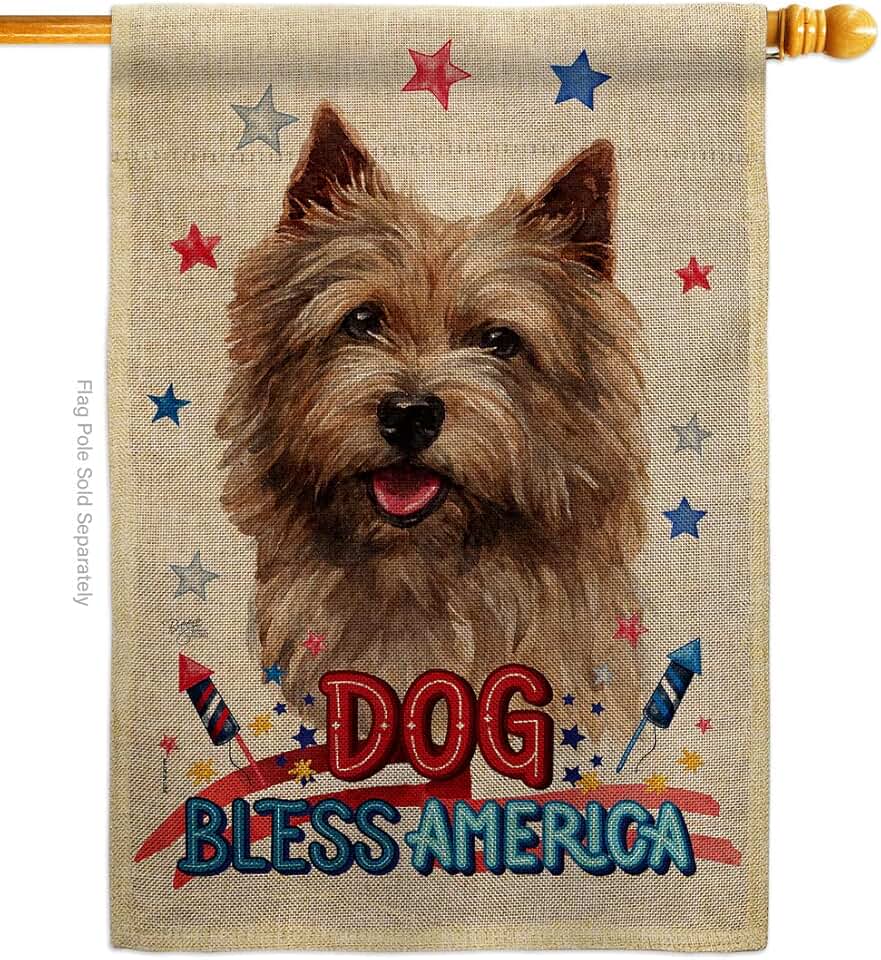 Patriotic Norwich Terrier Dog House Flag for Garden