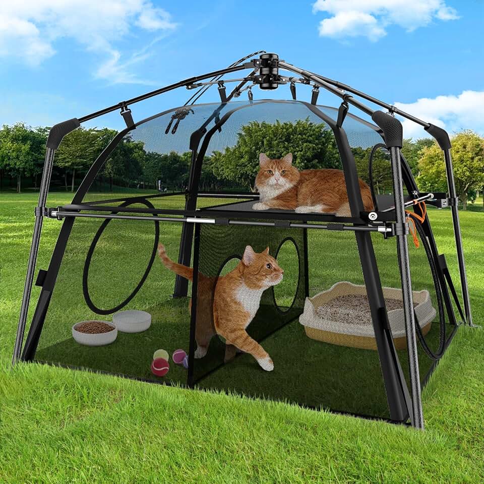 Large outdoor cat enclosure with tent and play area