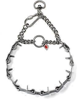 Stainless Steel Prong Dog Training Collar 24 inches