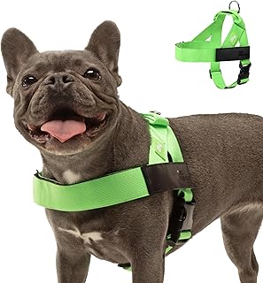 Heavy Duty Neon Green Dog Harness, Size XL