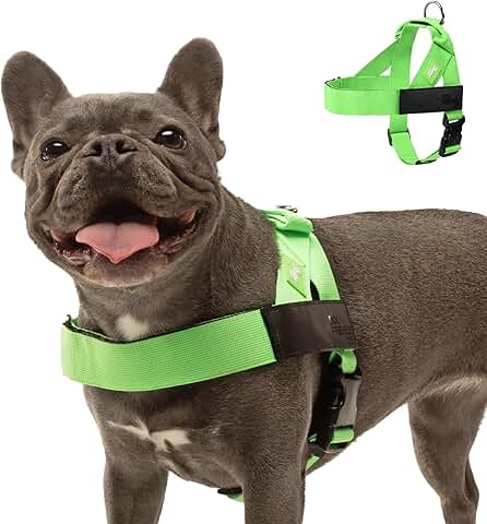 Heavy Duty Neon Green Dog Harness, Size XL