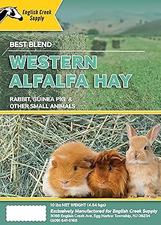 Premium Western Alfalfa Hay in 10 Lb Box