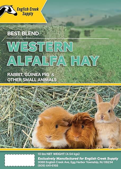 Premium Western Alfalfa Hay in 10 Lb Box