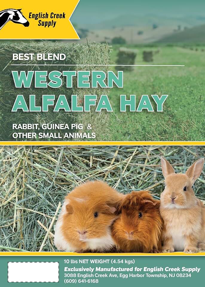 Premium Western Alfalfa Hay in 10 Lb Box