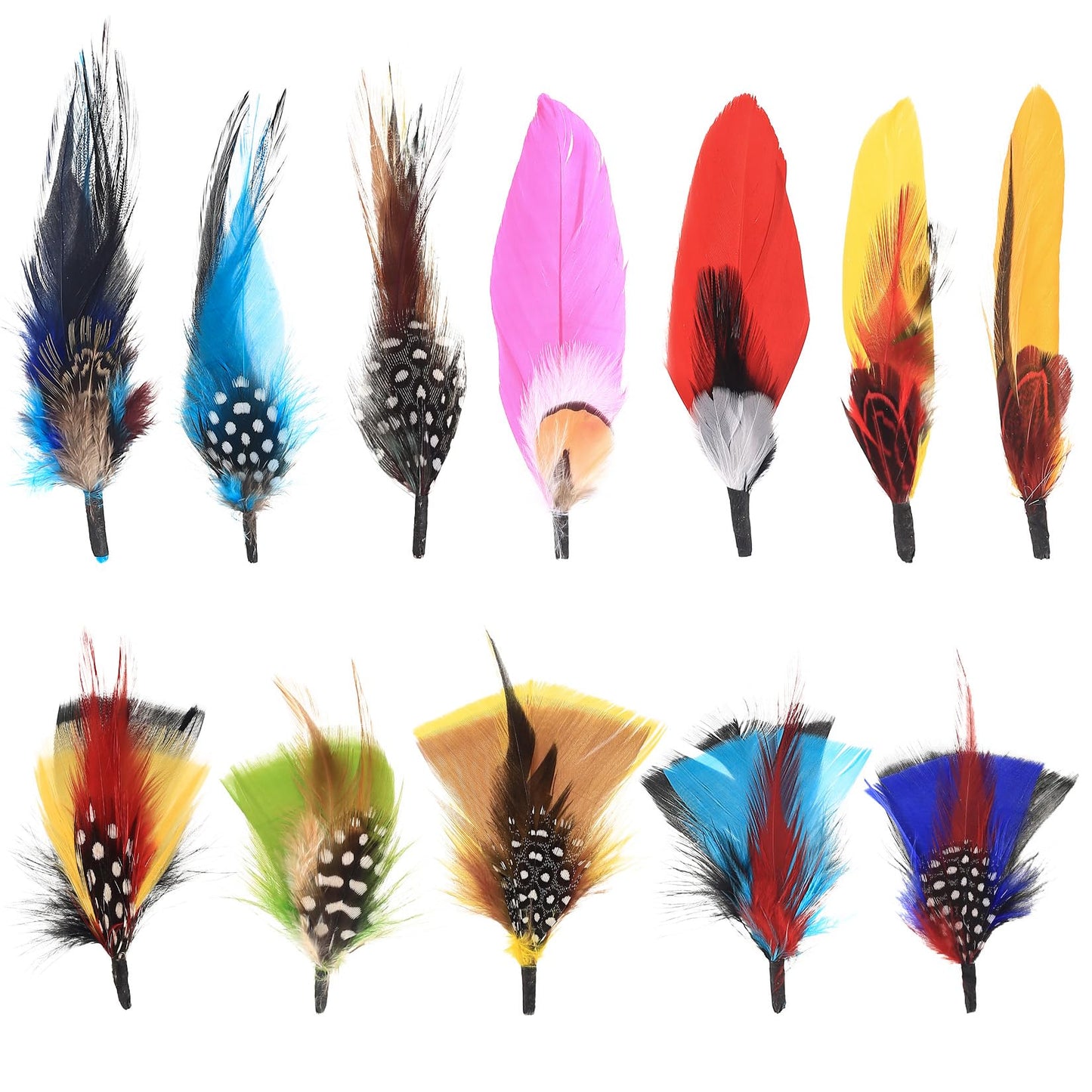 12 Natural Assorted Hat Feathers for DIY and Decorations
