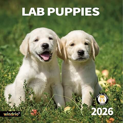 2026 Wall Calendar with Puppies, 12" x 24"