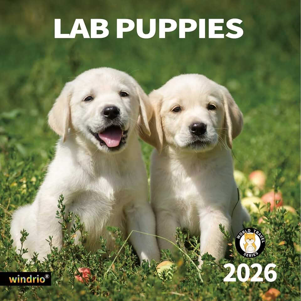 2026 Wall Calendar with Puppies, 12" x 24"