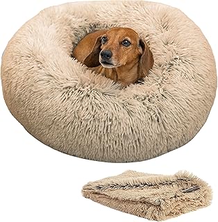 Best Friends Calming Cat and Dog Bed with Blanket