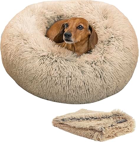 Best Friends Calming Cat and Dog Bed with Blanket