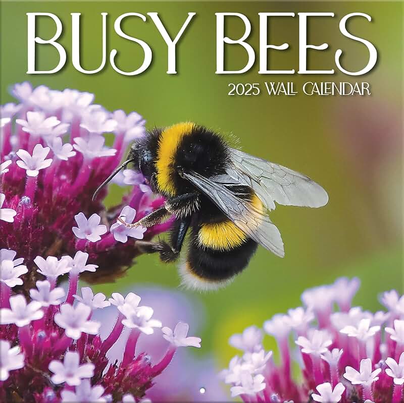 Busy Bees 12x12 Photo Wall Calendar