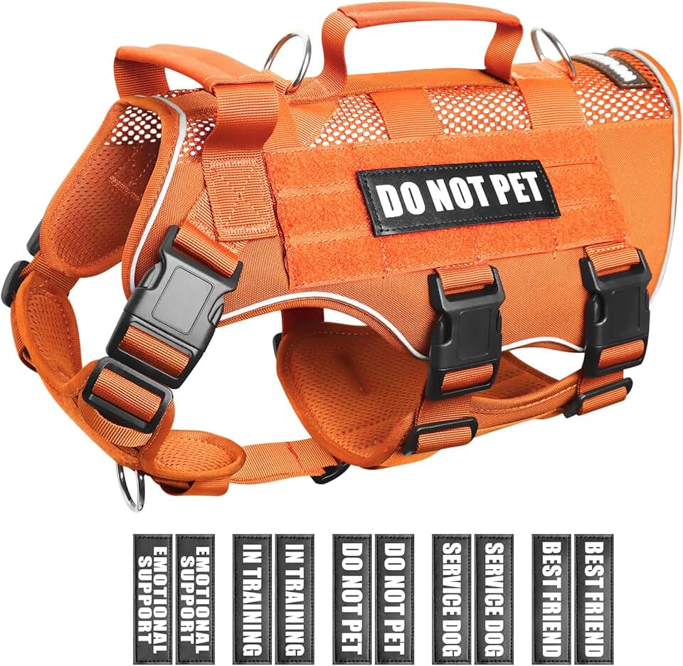 Mesh Dog Harness with Patches and Handle