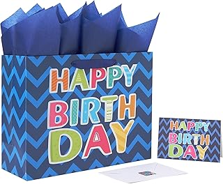 Large Blue Gift Bag with Card and Tissue Paper