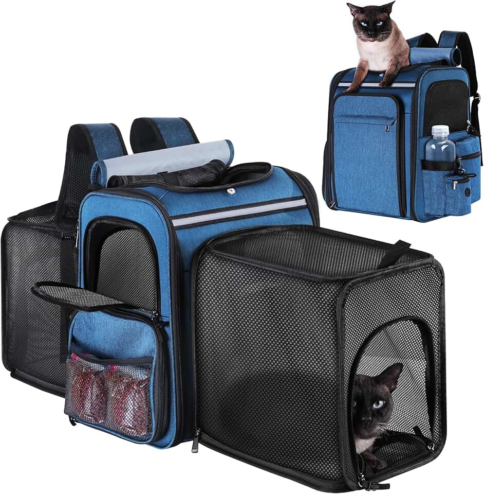 Pet Carrier Backpack for Cats and Small Dogs