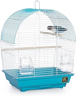 South Beach Dome Top Bird Cage in Teal