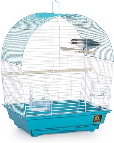 South Beach Dome Top Bird Cage in Teal