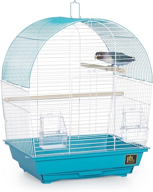 South Beach Dome Top Bird Cage in Teal