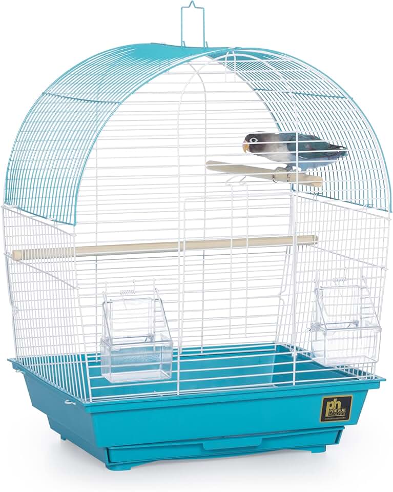 South Beach Dome Top Bird Cage in Teal