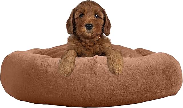 Dog Bed for Medium Dogs with Washable Cover