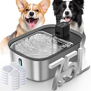 Wireless Water Fountain for Large Dogs and Cats