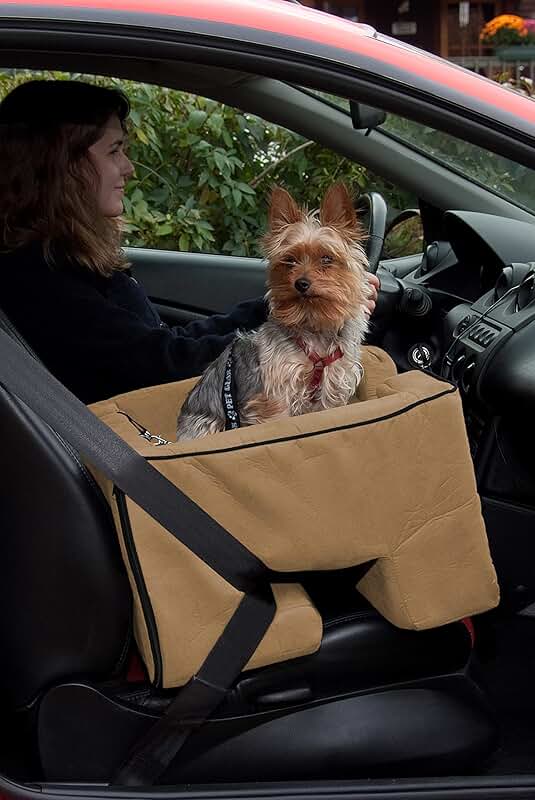 Pet booster car seat with comfort pillow and safety tether