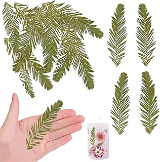 Natural Dried Metasequoia Leaves for Resin Crafts, 42 Pieces