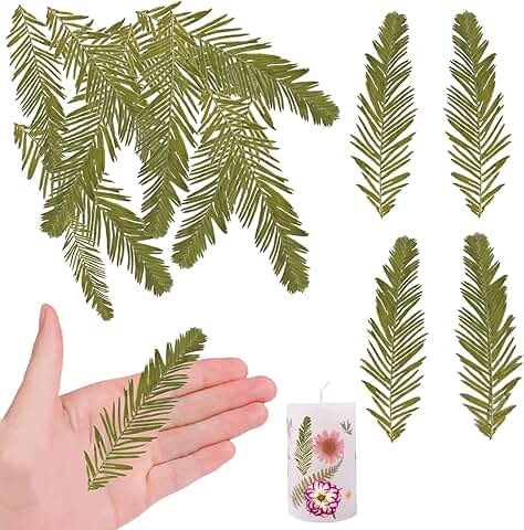 Natural Dried Metasequoia Leaves for Resin Crafts, 42 Pieces