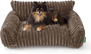 Cute pet couch bed for small cats and dogs
