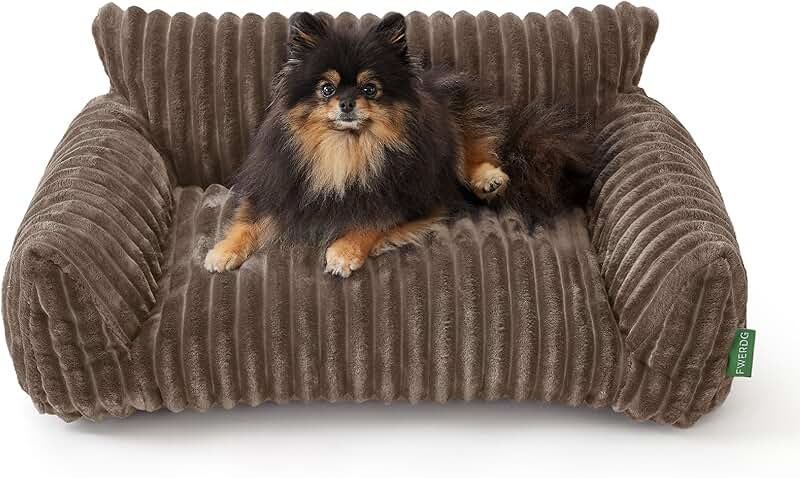 Cute pet couch bed for small cats and dogs