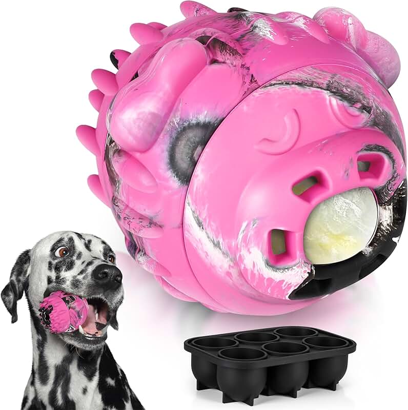Frozen 4-in-1 Interactive Dog Toy for Mental Stimulation