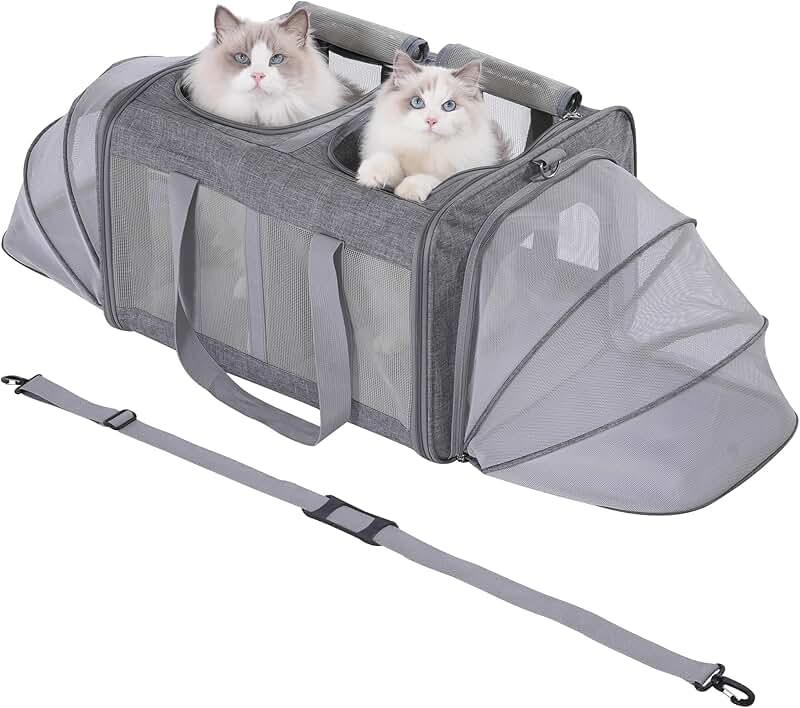 Large Cat Carrier for Two Cats with Soft Pad