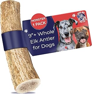 Durable Elk Antler Chew for Dogs, 9"+, 1 Pack