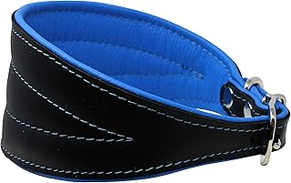 Extra Wide Padded Leather Dog Collar for Medium Dogs