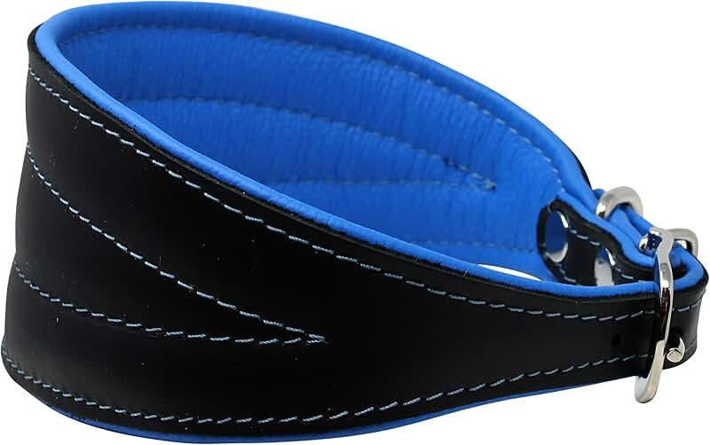 Extra Wide Padded Leather Dog Collar for Medium Dogs